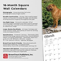 BrownTrout Shar Pei 2024 12x24 Inch Square Wall Calendar, 9781975464950