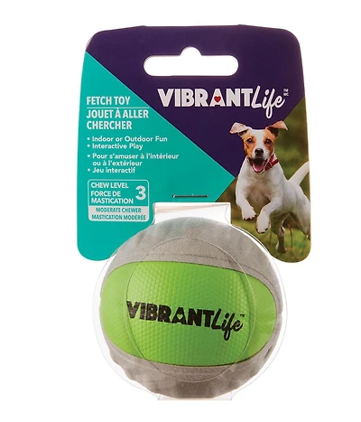 Rapporter une balle FETCH TOY