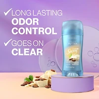 Antisudorifique et désodorisant invisible en bâton Secret Fraîcheur, Beurre de cacao