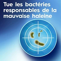Rince-bouche blanchissant Crest3DWhite Fraîcheur, prévient les taches de surface, tue des millions de germes responsables de la mauvaise haleine, sans alcool, saveur Menthe arctique, 946mL (32ozliq.) 946ML