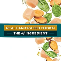 Beneful IncrediBites pour Petits Chiens avec Vrai Poulet, Nourriture Sèche pour Chiens 1,6-7 kg