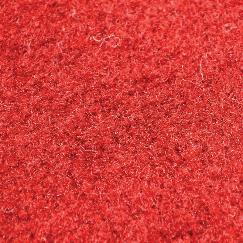 Fanmats NBA Champion Toronto Raptors Carpet Car Mat