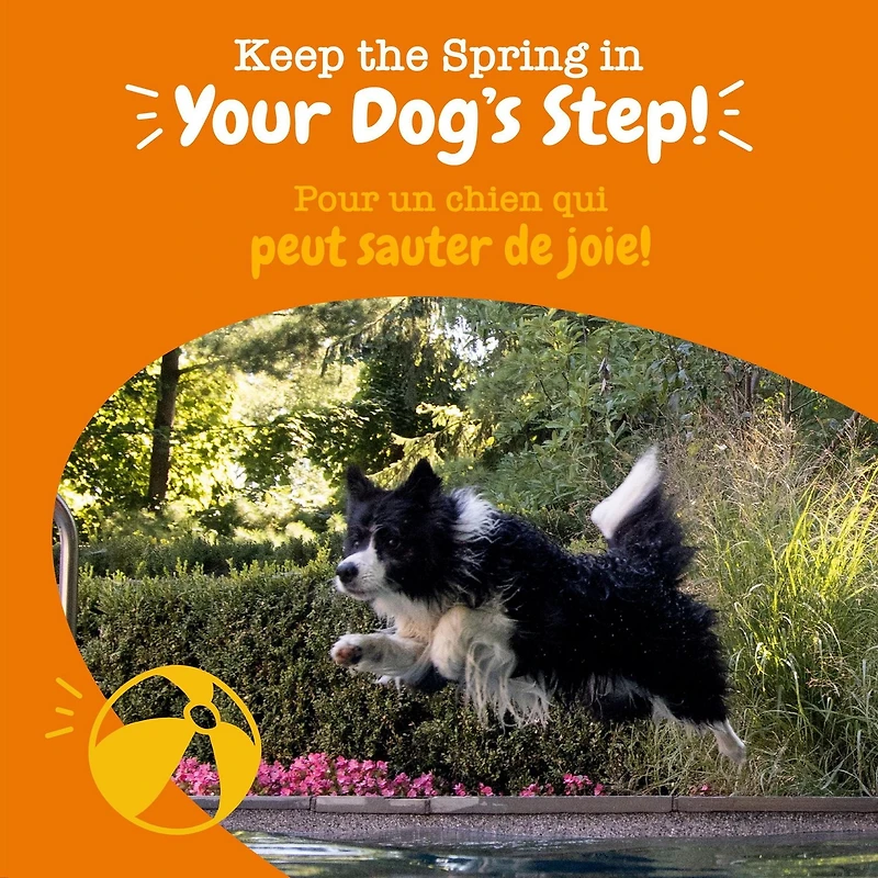 Zesty Paws Mobility Duck Daily Soft Chews Dog Supplement, 60 Soft Chews