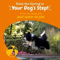 Zesty Paws Mobility Duck Daily Soft Chews Dog Supplement, 60 Soft Chews