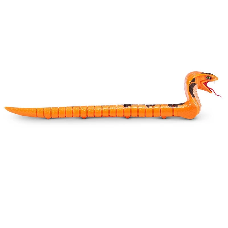 Robo Alive King Cobra by ZURU, Battery-Powered Robotic Moving Snake Toy, Realistic Snake Features, Ages 3+