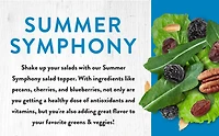 SALAD TOPPER SUMMER