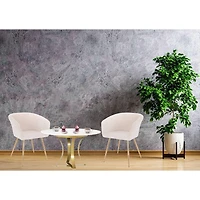 Set of 2 Modern Luxurious Dining Accent Chairs – Ivory Velvet Upholstery with Shiny Gold Legs, Elegant and Comfortable Chairs for Dining Room or Living Space