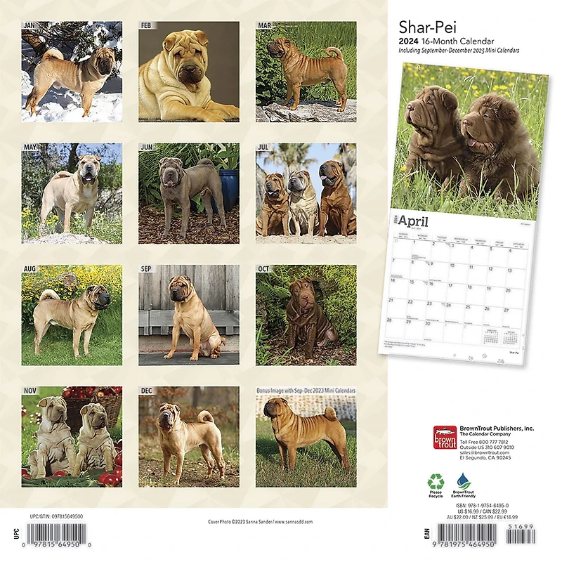 BrownTrout Shar Pei 2024 Mur Carré 30.48x60.96 CM, 9781975464950