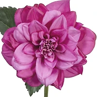 Tige de Dahlia Artificielle