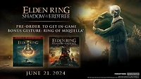 Jeu vidéo ELDEN RING Shadow of the Erdtree Edition pour (PS5)