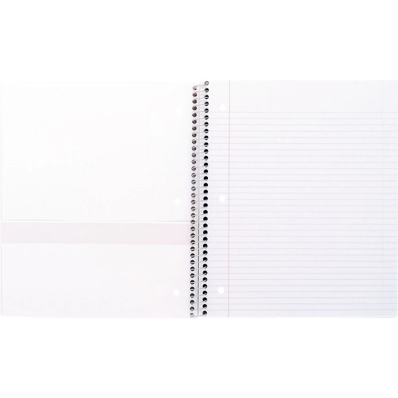 Five Star 3-Subject Preppy Day Notebook