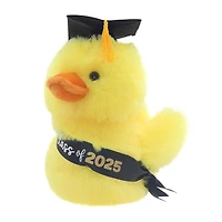 Class of 2025 Graduation Duck Plush in Box