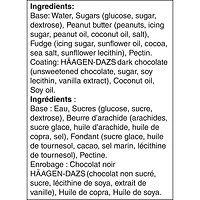 HAAGEN-DAZS Non-Dairy Peanut Butter Fudge Bars