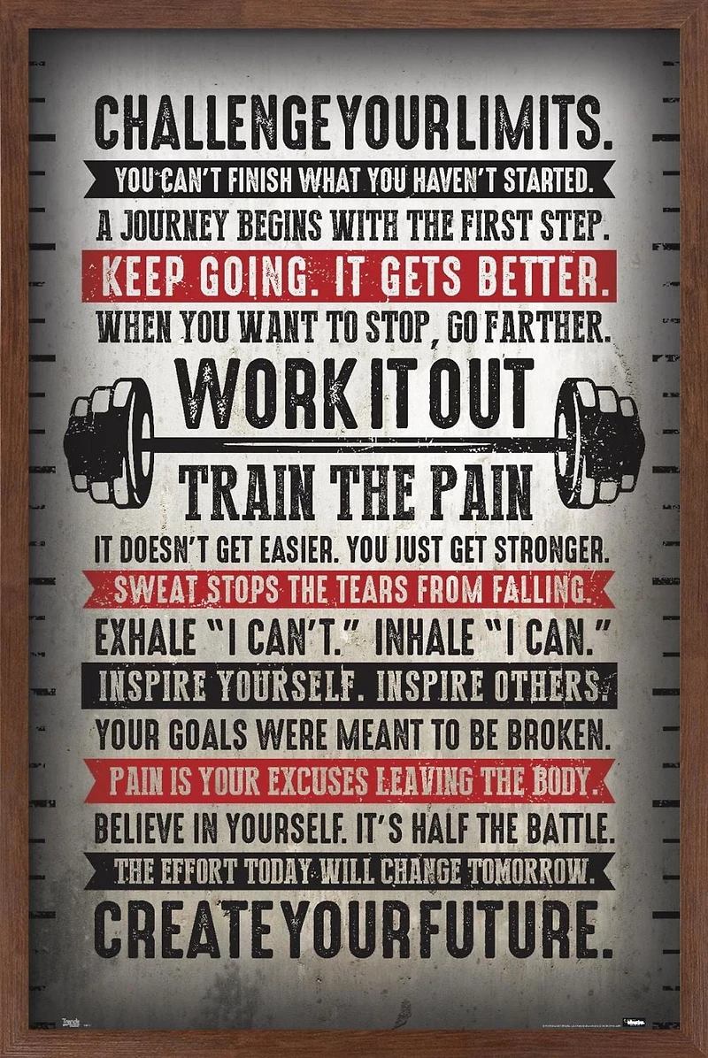 Challenge Your Limits Wall Poster, 14.725" x 22.375"