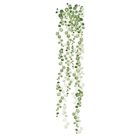RoomMates String Of Pearls Vine Peel And Stick Wall Decals