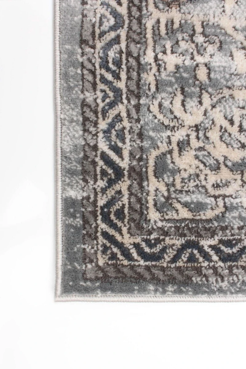 ECARPET Vintage Oriental Area Rug for Living Room Bedroom