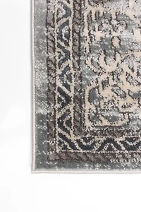 ECARPET Vintage Oriental Area Rug for Living Room Bedroom