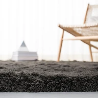 Safavieh Paris Darwin Plush Shag Area Rug