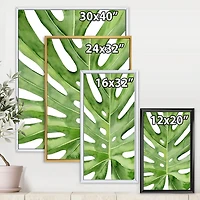 Designart Green Monstera Leaf Tropical Palm Botanical Detail FLOAT FRAME WALL ART