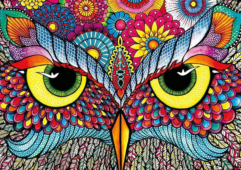 Buffalo Games - Le puzzle Vivid Collection - Owl Eyes - en 300 pièces