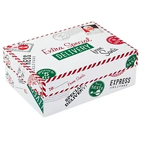 Hallmark Medium Christmas Gift Box with Lid (Special Delivery)