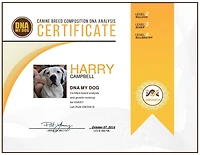 DNA My Dog - Test canin de détermination de race avec test d’âge génétique