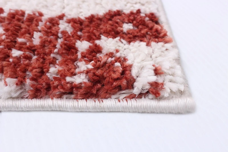 ECARPET Modern Indoor Area Rug