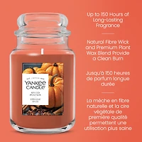 Bougie parfumée Yankee Candle, Citrouille épicée, grand pot classique de 22 oz, jusqu’à 150 heures de combustion
