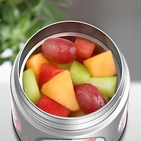Thermos Kids Stainless Steel Vacuum Insulated FUNtainer Food Jar, 295 ml, Spiderman, Black, F30021SP