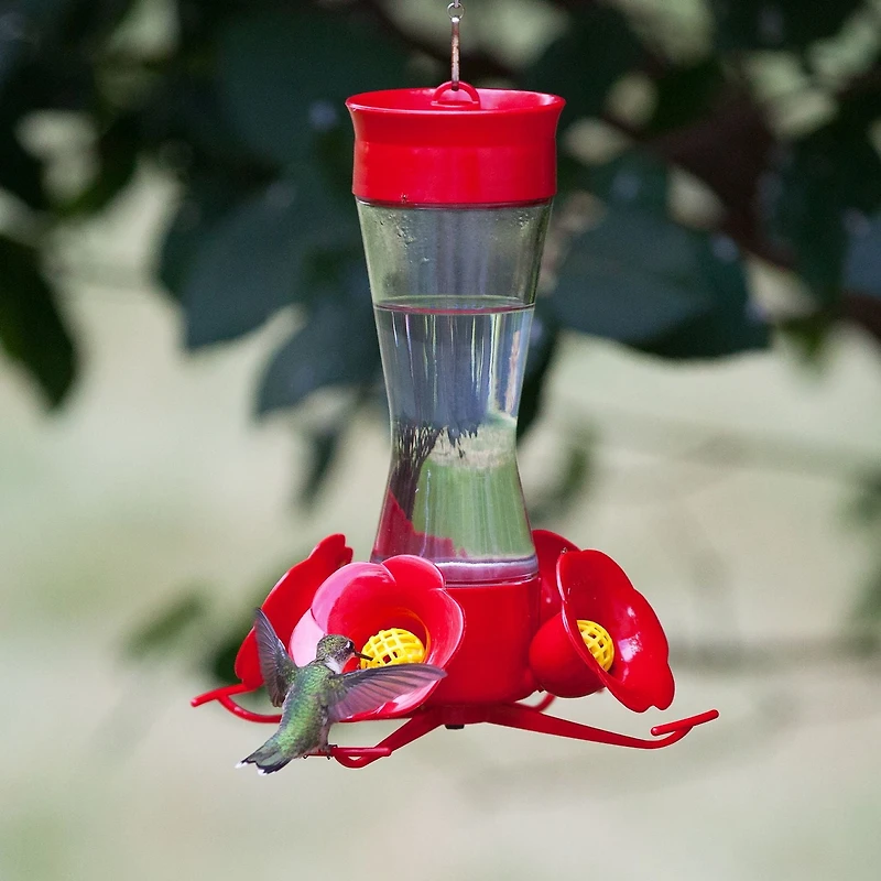 Perky-Pet Pinch Waist Glass Hummingbird Feeder, 8 oz wide mouth bottle