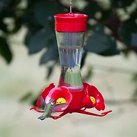 Perky-Pet Pinch Waist Glass Hummingbird Feeder, 8 oz wide mouth bottle