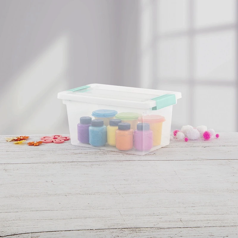 Sterilite Clear Medium Clip Box