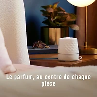 Assainisseur d’air à brancher Febreze, recharge d’huile parfumée qui combat les odeurs, parfum Croustade aux canneberges, 4 recharges