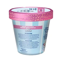 Pooch Cake Basic Starter Pack Plus - Peanut Butter Cake Mix and Birthday Cake Ice Cream Mix