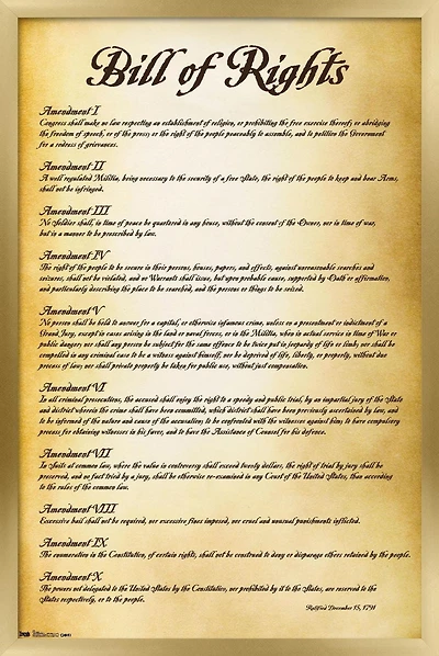 The United States of America - Bill of Rights Wall Poster, 22.375" x 34"