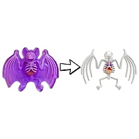 Chauve-souris au labo Dissect-It Chauve-souris au labo