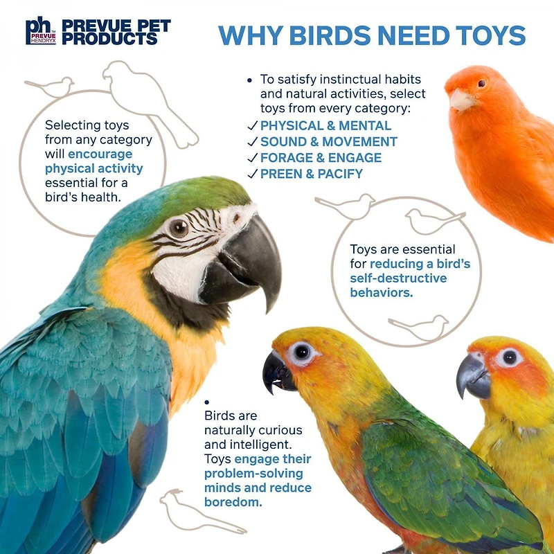 Prevue Paradise Swing Bird toy