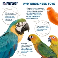 Prevue Paradise Swing Bird toy