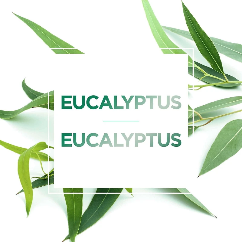 L'Oréal Paris Pure-Clay Cleansing Mask with 3 Mineral Clays + Eucalyptus, Purifies and Mattifies Oily Skin, 50 ml