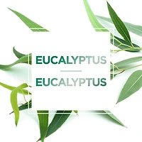 L'Oréal Paris Pure-Clay Cleansing Mask with 3 Mineral Clays + Eucalyptus, Purifies and Mattifies Oily Skin, 50 ml