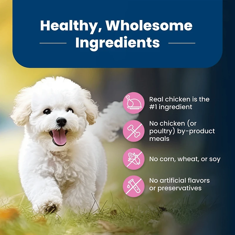 BLUE Life Protection Formula recette poulet et riz brun pour chiens adultes de race de petite taille