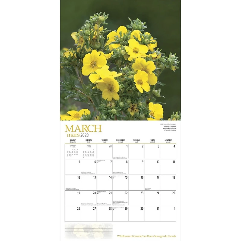 Wildflowers of Canada 2023 Square