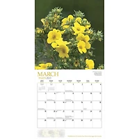 Wildflowers of Canada 2023 Square