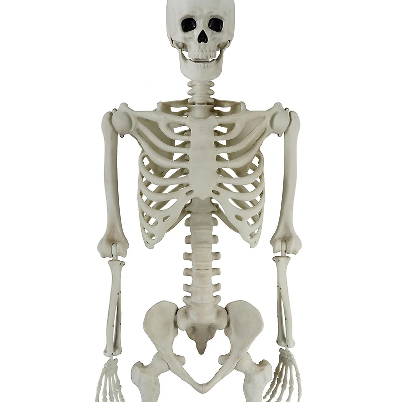 Déco d’halloween Tout Pour célébrer 60 pouces Squelette articulé
