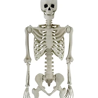 Déco d’halloween Tout Pour célébrer 60 pouces Squelette articulé