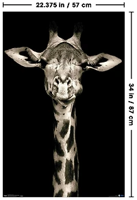 Star Wars : Saga-Saga Skywalker