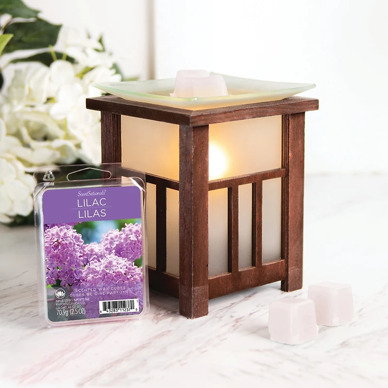 Cubes de cire parfumée ScentSationals - Lilas