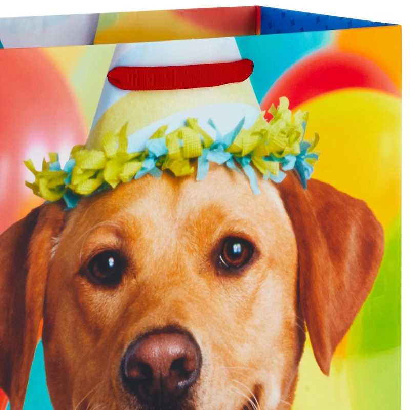 Méga sac-cadeau de 20 po – Hallmark  pour les fêtes, les remises des diplômes, les départs à la retraite et plus encore