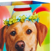 Méga sac-cadeau de 20 po – Hallmark  pour les fêtes, les remises des diplômes, les départs à la retraite et plus encore