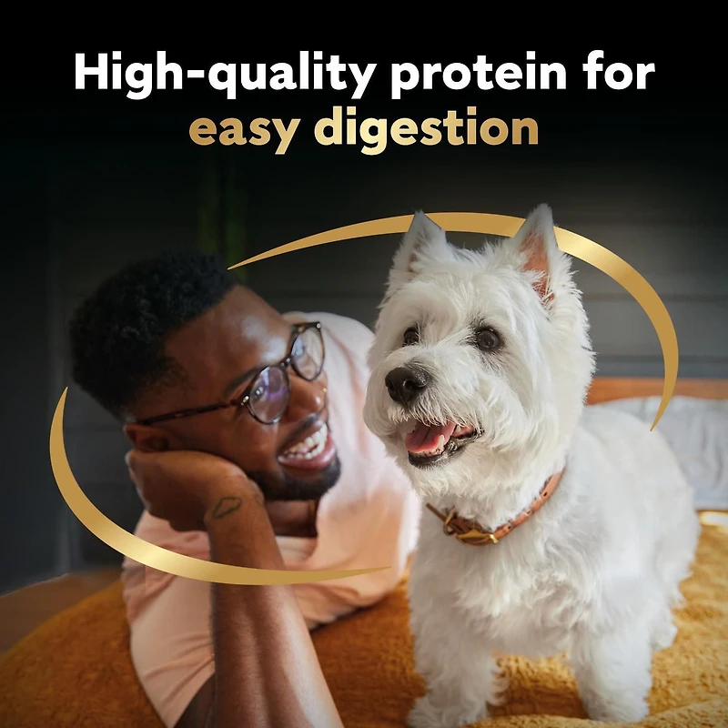 Nourriture humide pour chiens adultes CESAR pain classique en sauce Sélections de volaille - format variété 24x100g